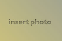Image Sample
